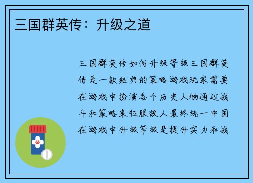 三国群英传：升级之道